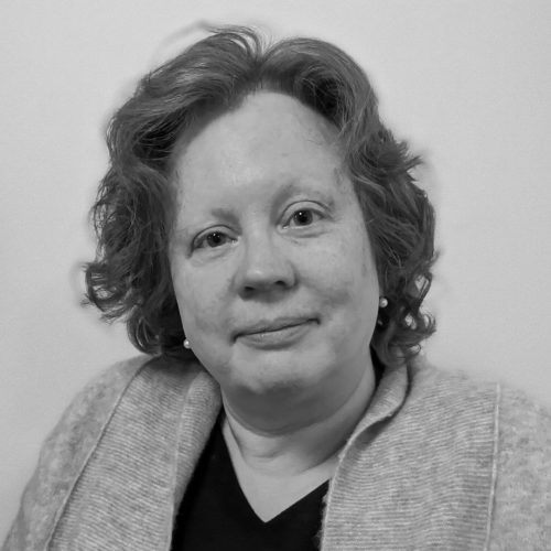 Birgit Alber è docente di linguistica tedesca presso la Libera Università di Bolzano. Dopo aver conseguito il dottorato di ricerca in linguistica presso le Università di Padova e Venezia ha insegnato alle università di Marburg, Trento, Verona e Bielefeld. Nella sua ricerca si occupa soprattutto di teoria della fonologia, dell'interazione fra fonologia e morfologia, e di dialettologia germanica e romanza.