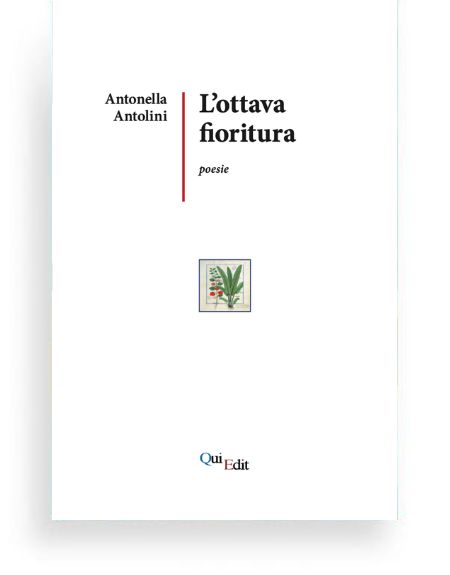 Ottava fioritura di Antonella Antolini Ottava fioritura di Antonella Antolini